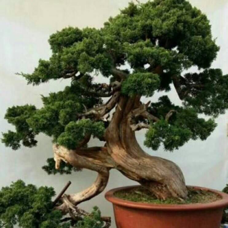 恒辉印刷