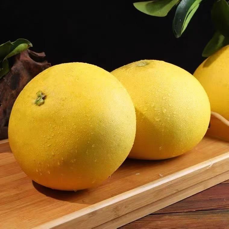 玉环垟根文旦果园