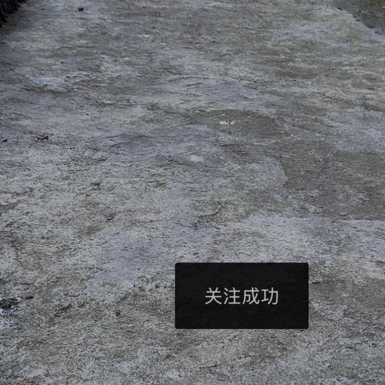 绿帽熊
