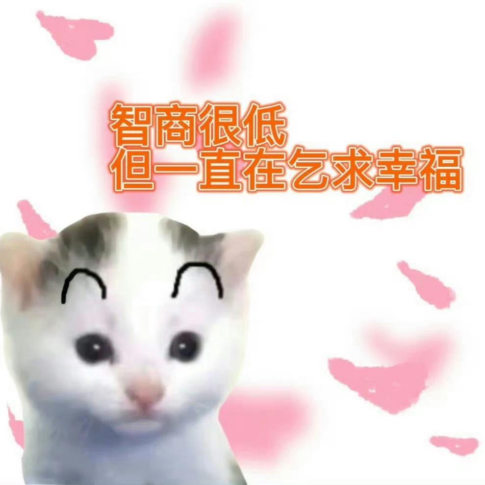 大毛oooo