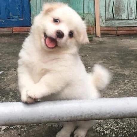 Suuuuuuuu