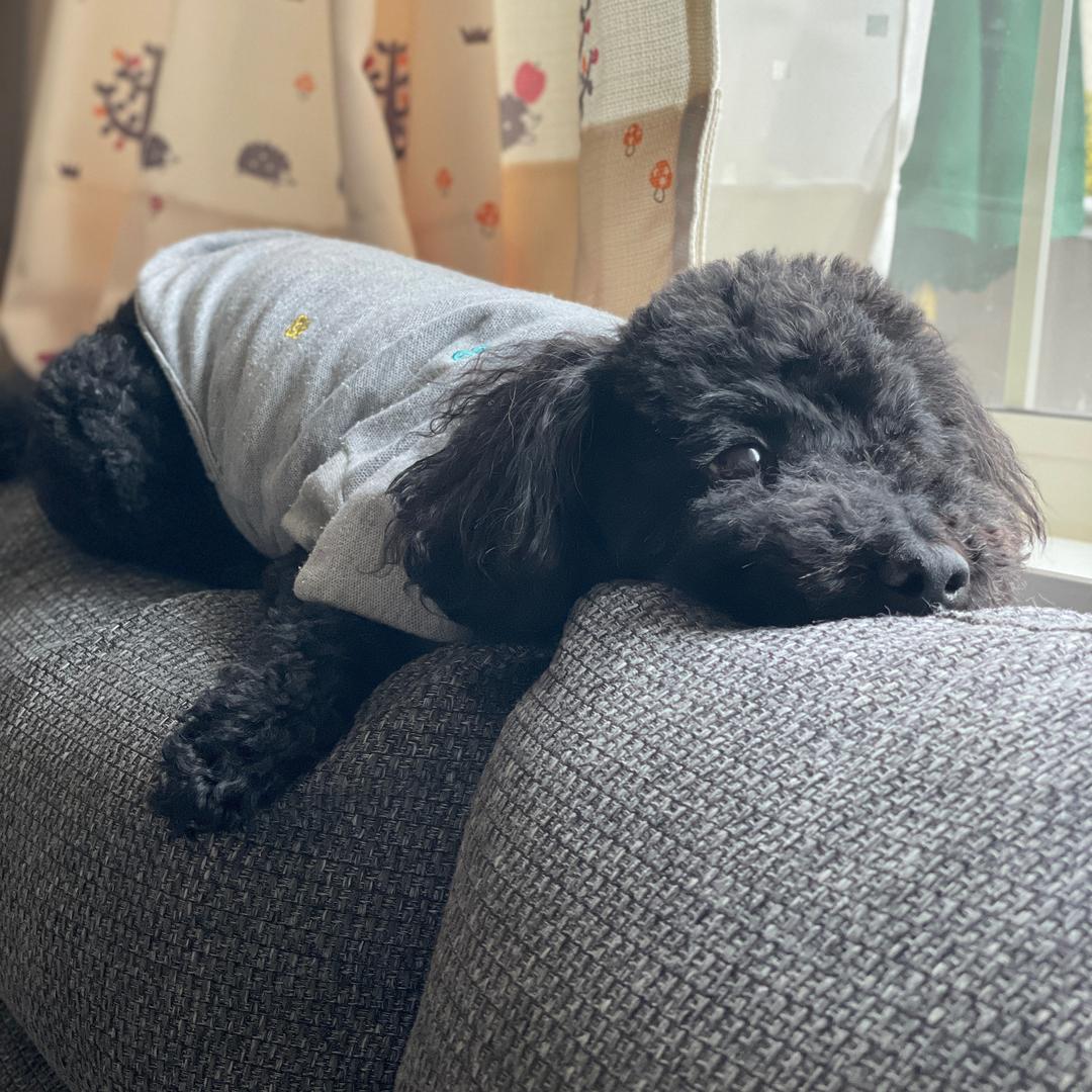 奶油酱滴妈咪🇨🇳