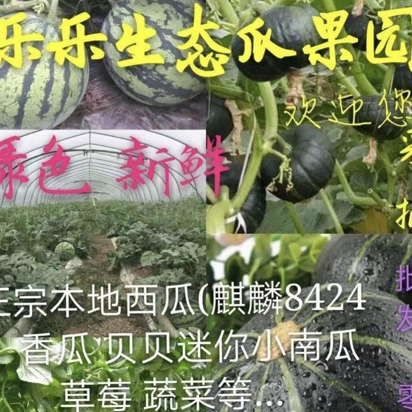 乐乐瓜果园