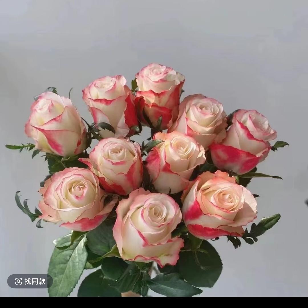 子非鱼，焉知鱼之乐