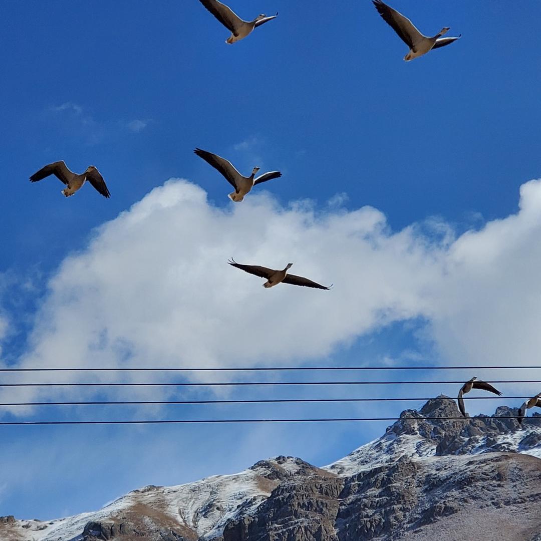 西藏强撒尔再生资源回收有限责任公司