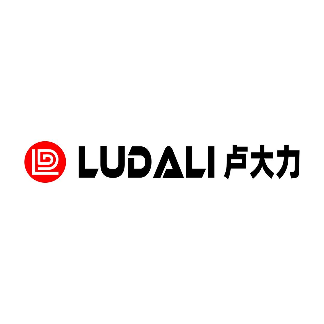 卢大力爬楼机厂家店