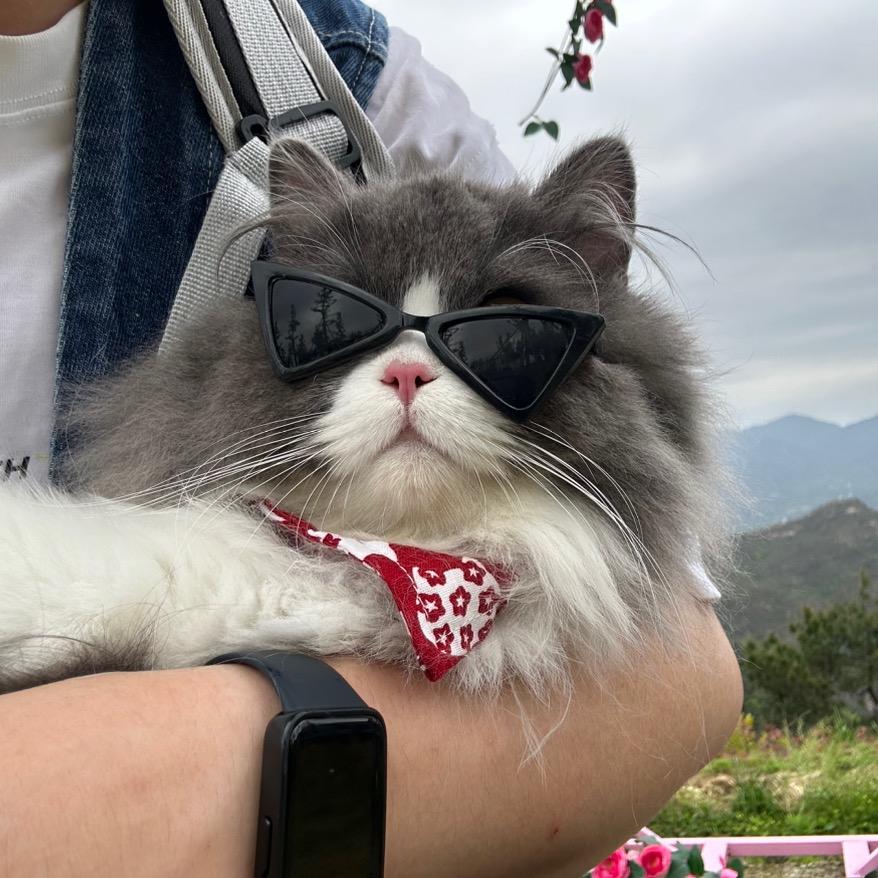 吃菠萝喝可乐