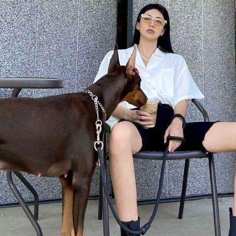 是腻害