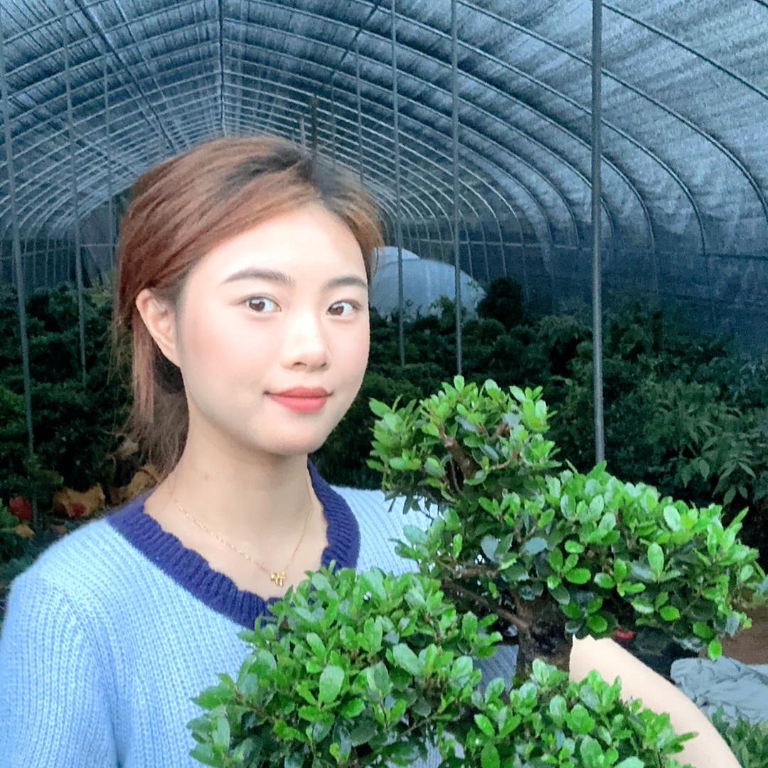 小文盆景