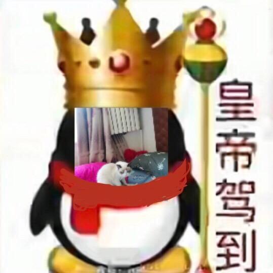 付国FH