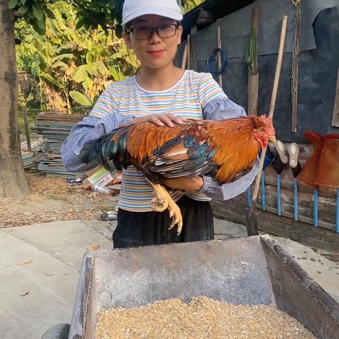 清远舌尖寻味（生鲜发货）