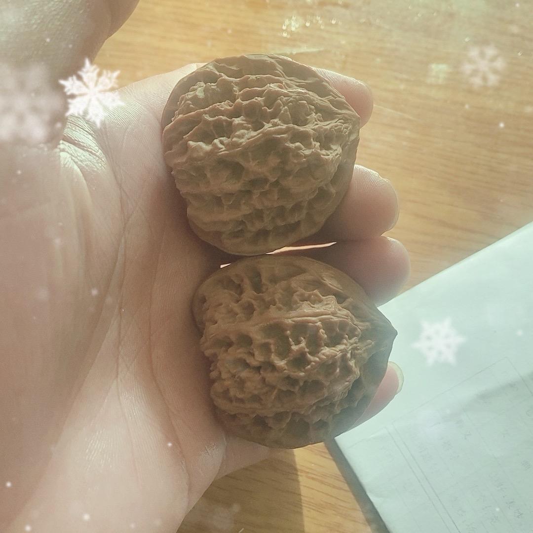 初一成