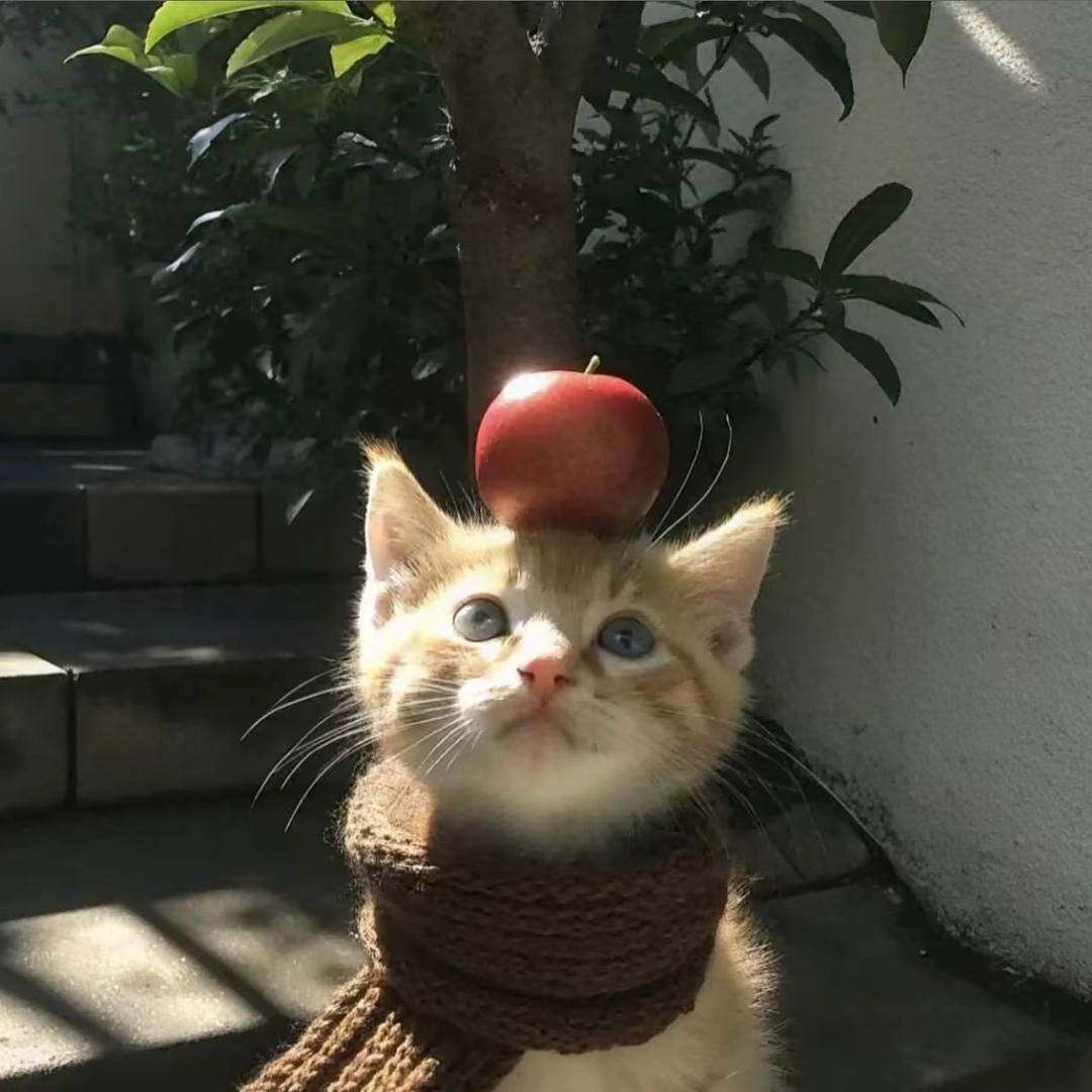 Kitty.