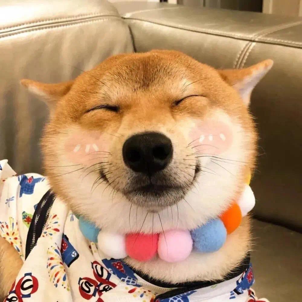 林大大💨@