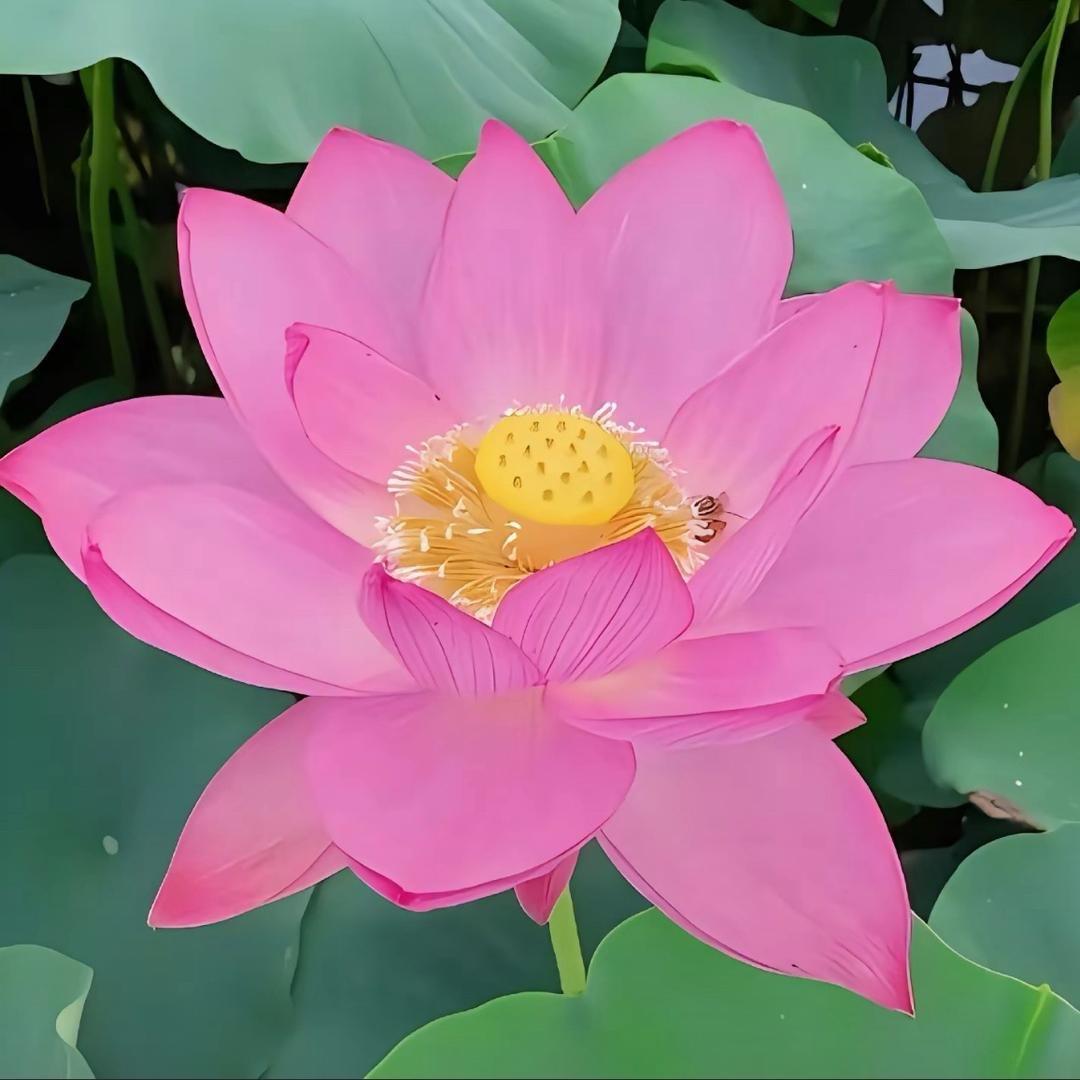 一生平安1