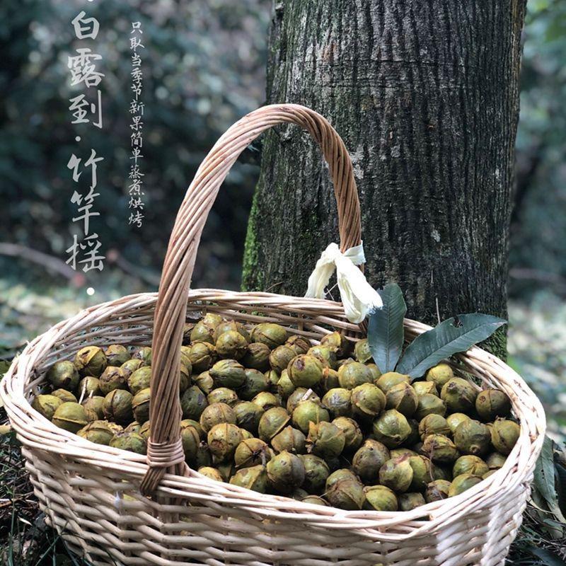 夏日风味百货