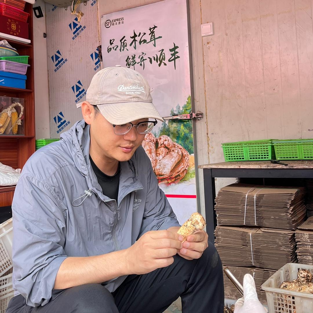 云南阿平食用菌
