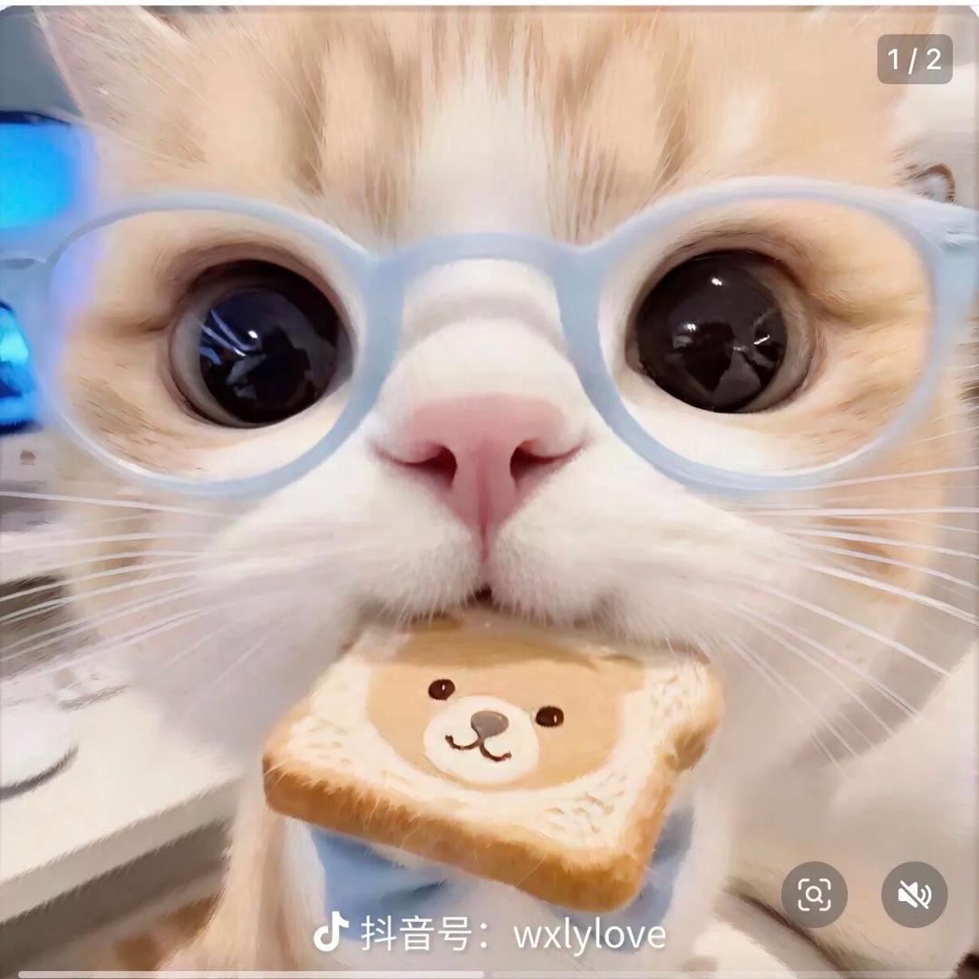 榴莲菠萝包是世界上最好吃的东西