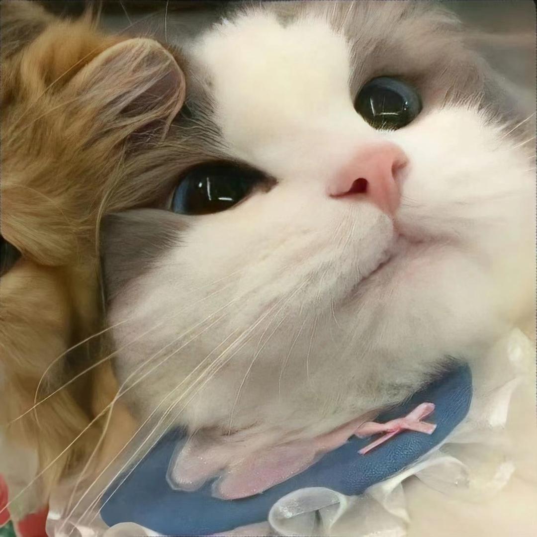 可望灬