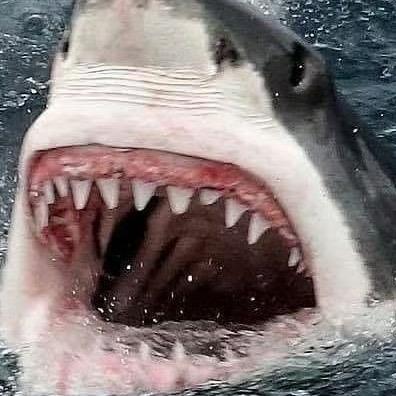 多看看打开吹吹牛