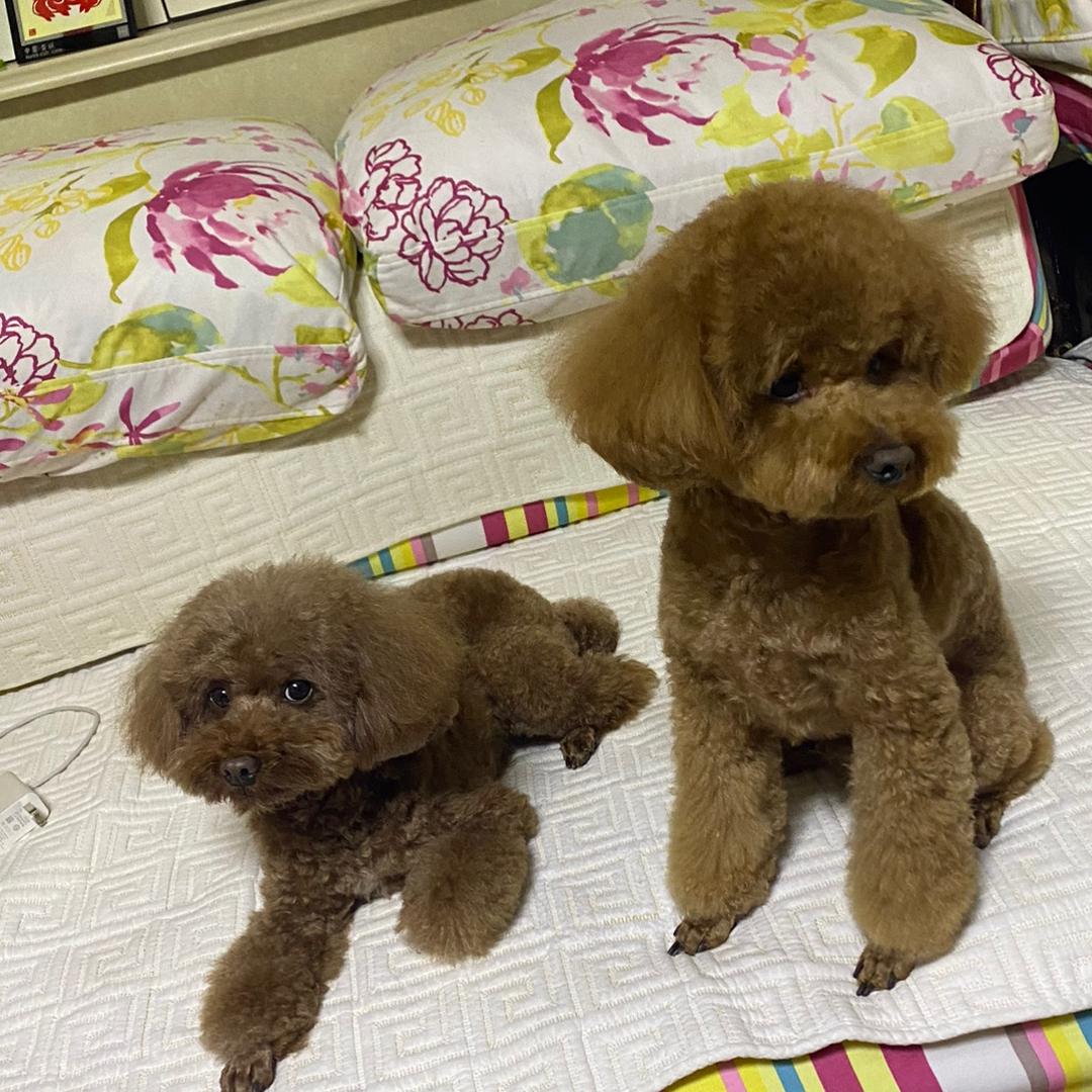 轶然宝妈
