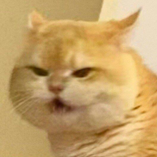 十三是小善人