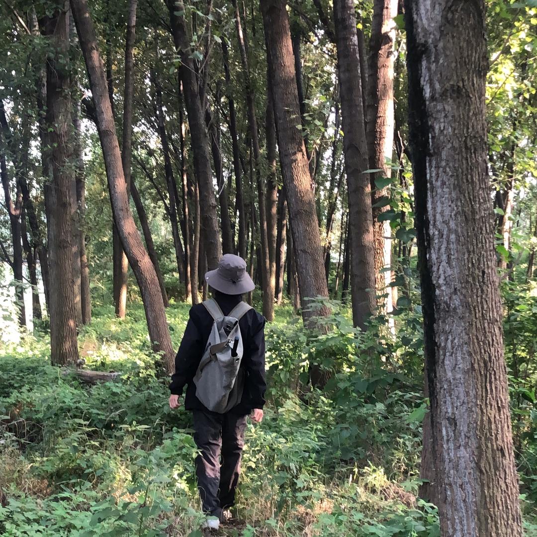 陈言清
