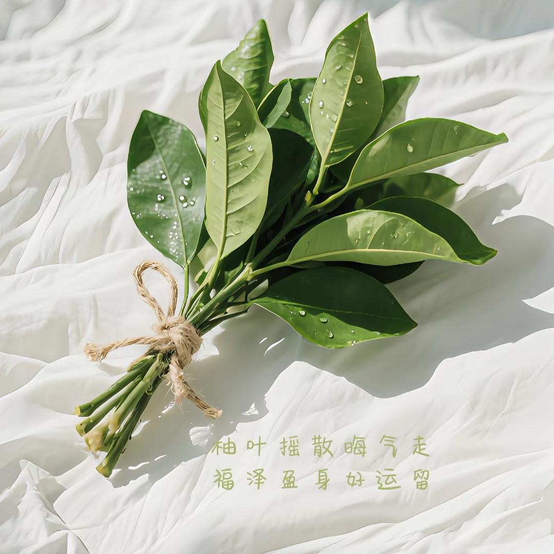 旺旺小仙