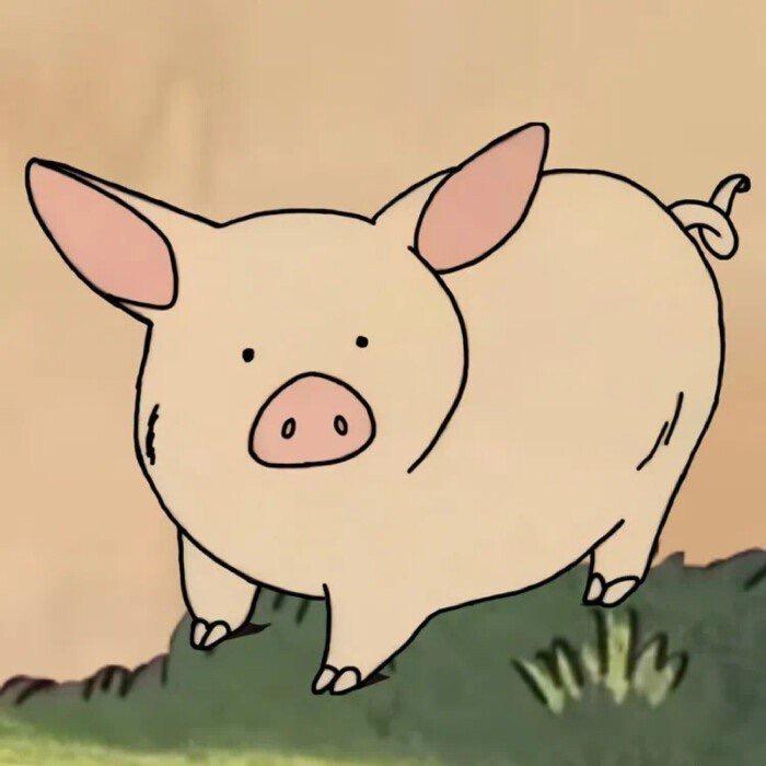 小猪.