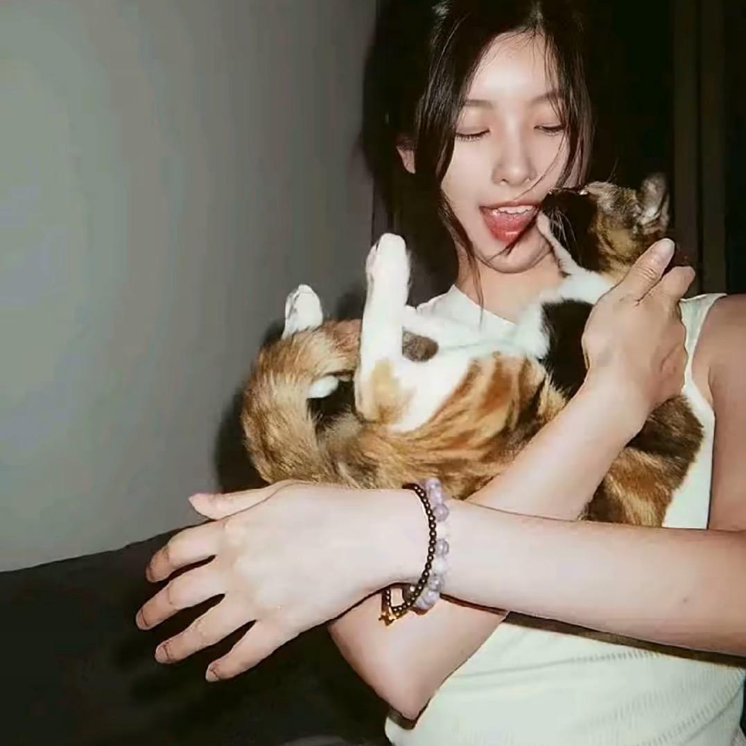 烦心柿棍开🍅