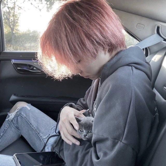 悄