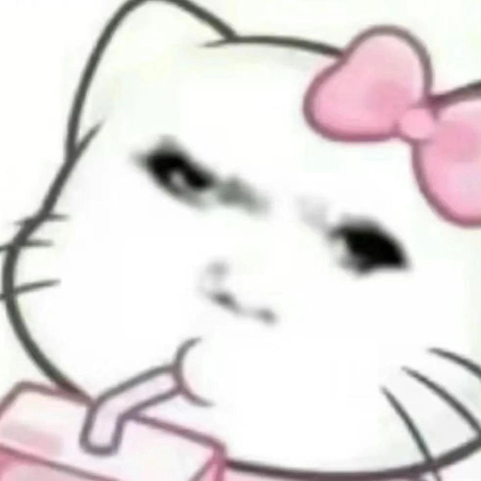 神秘猪