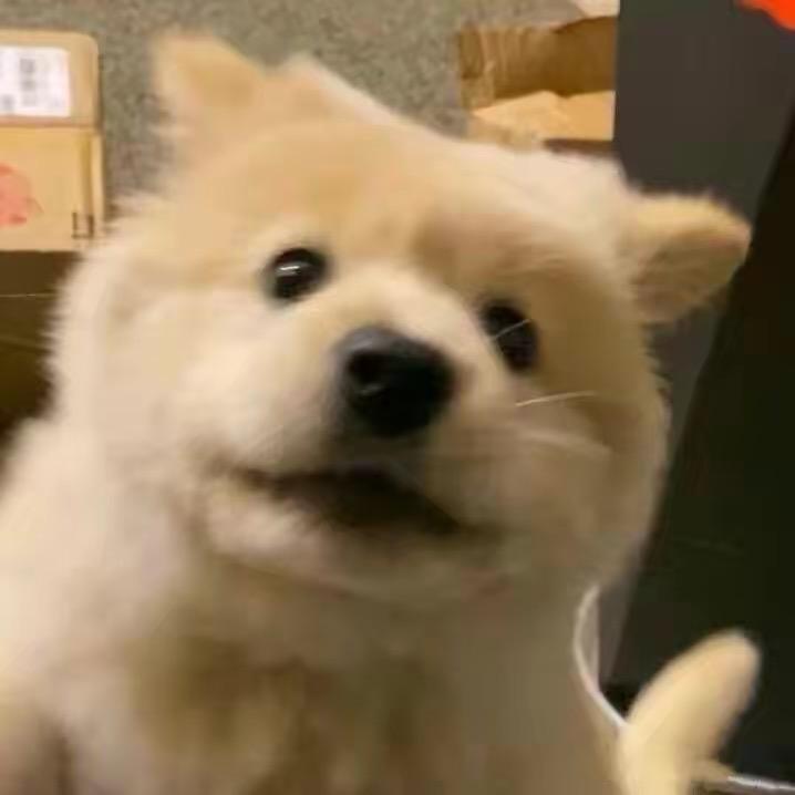 一束花开始