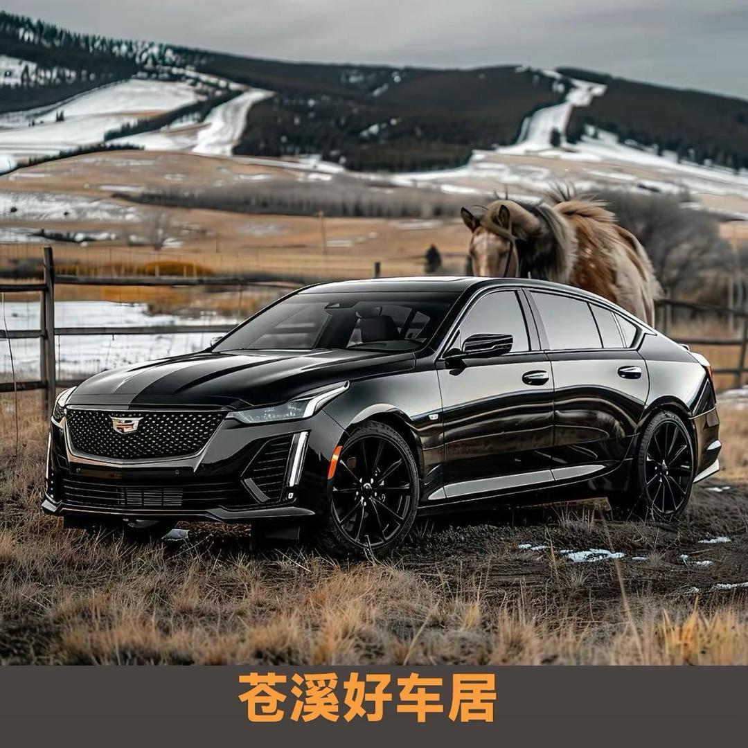 苍溪好车居车业