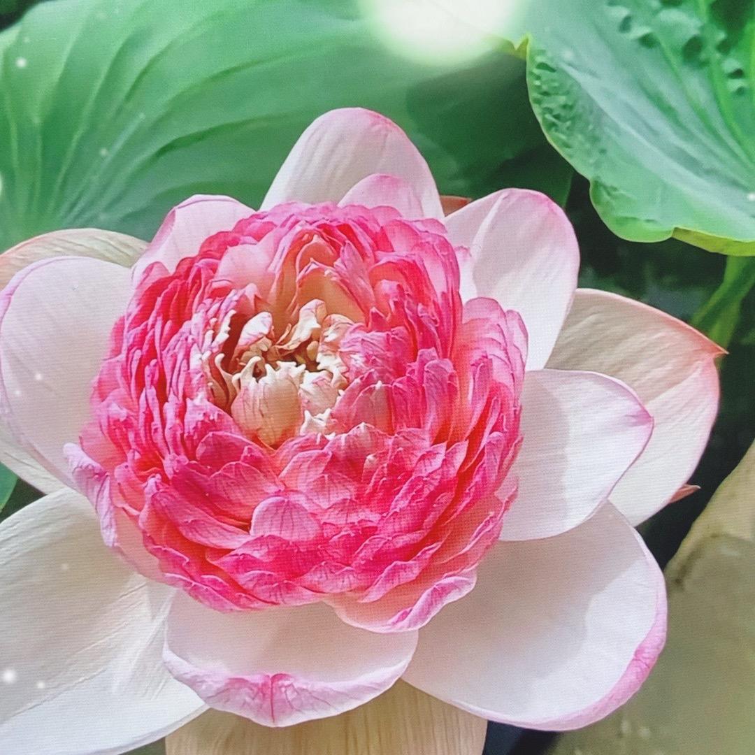 砥砺前行8