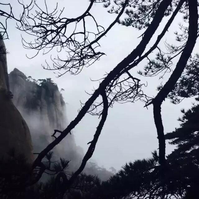 坚韧不拔