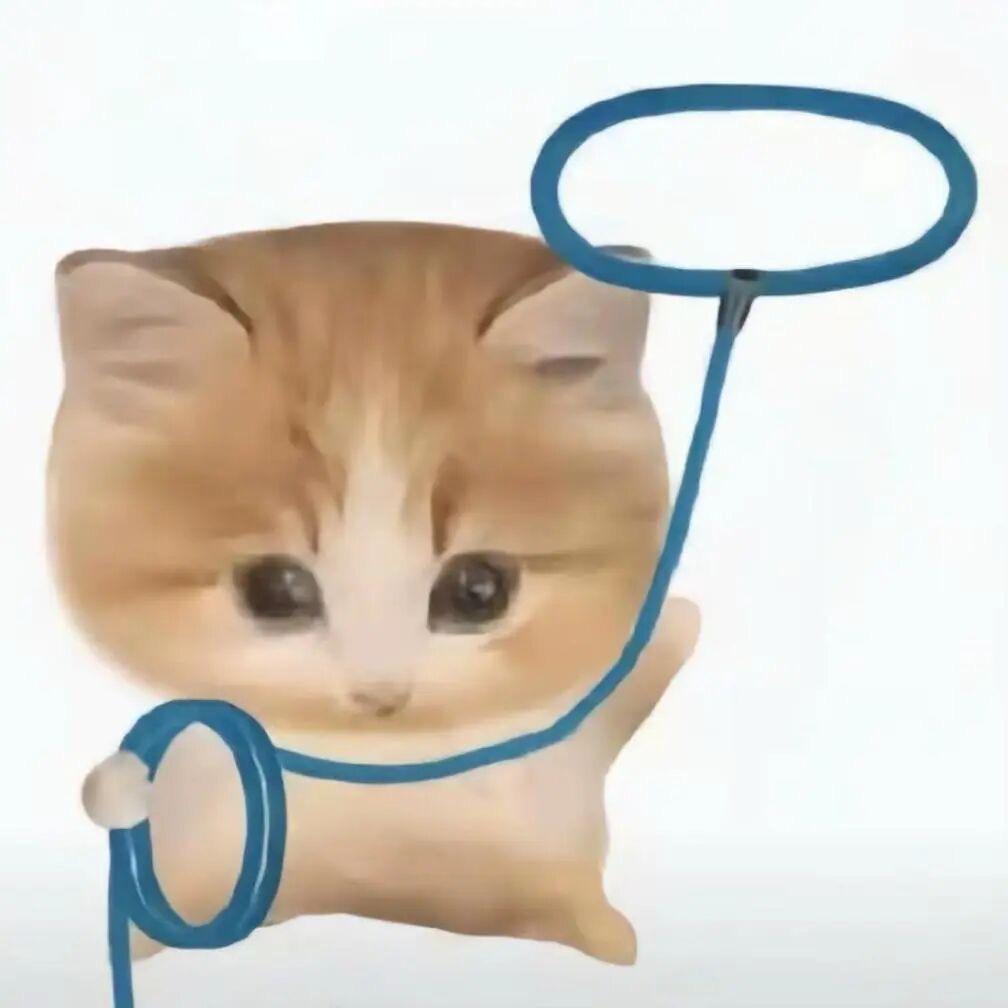 渡-