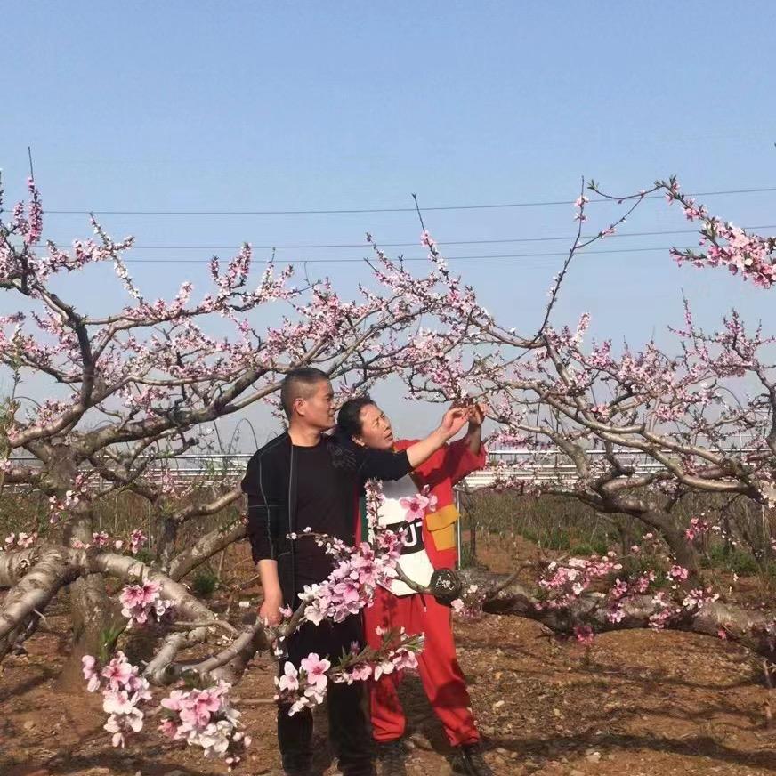 夫妻百货店