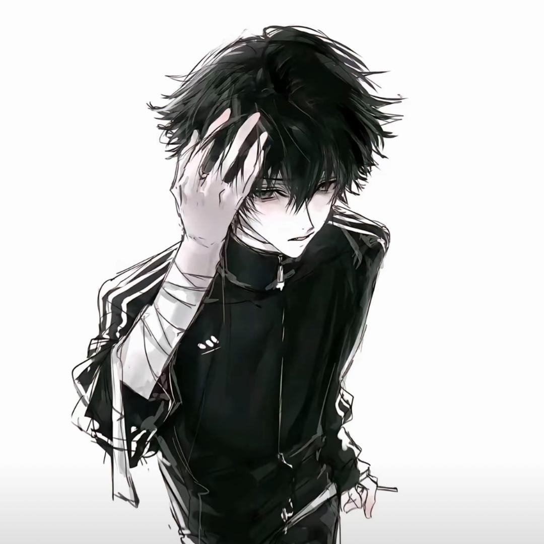 学习一年没睡觉