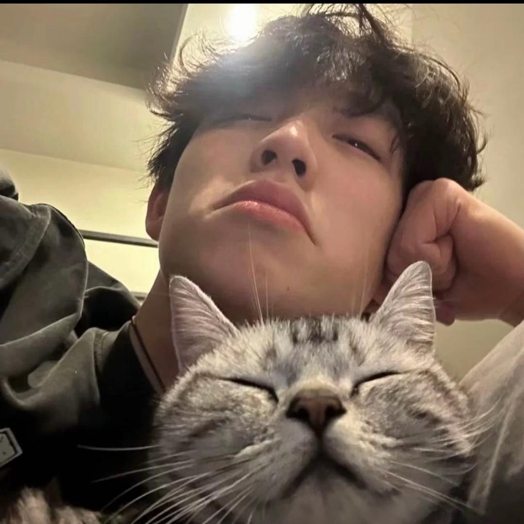一昂杨 ㅤㅤㅤㅤㅤㅤㅤㅤ