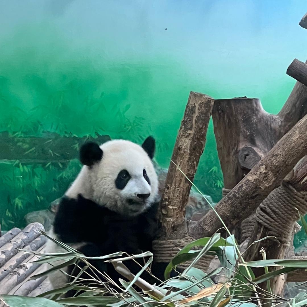 共生-共创-共赢