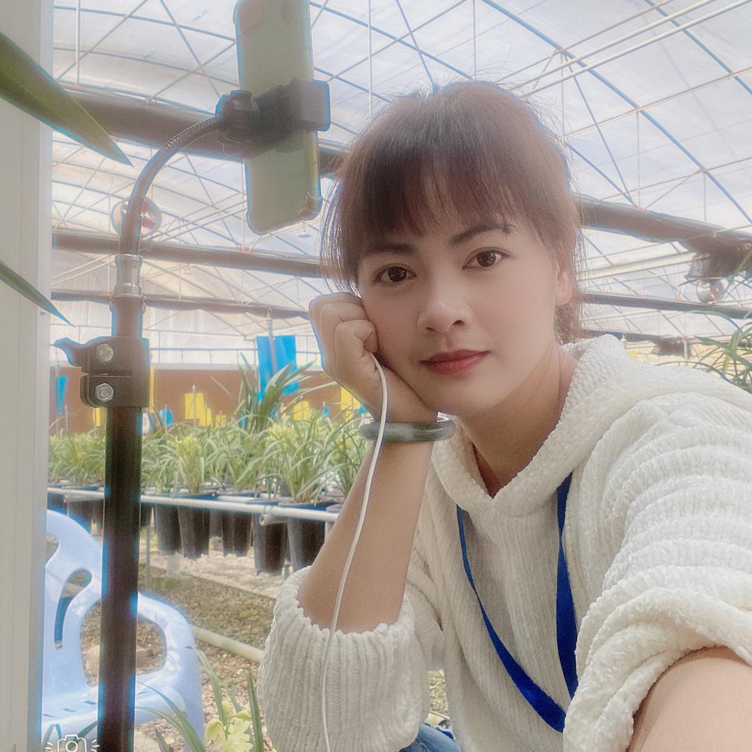 阳荣家的兰花
