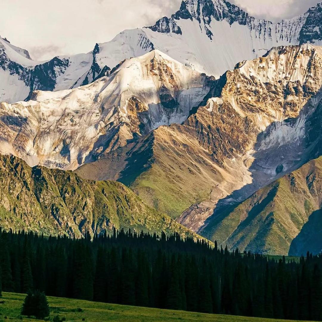 天山一号直播间