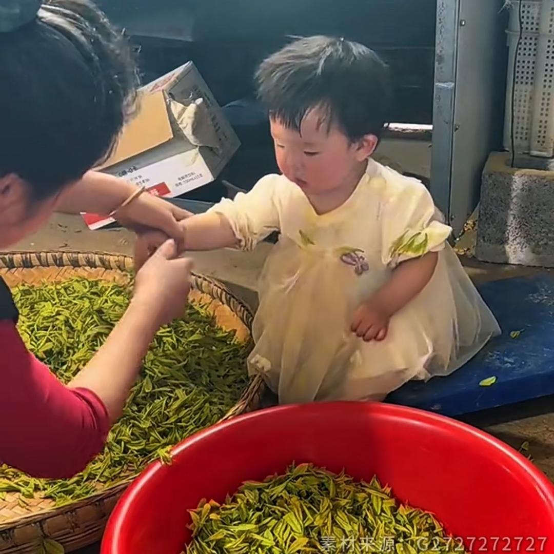小青萝