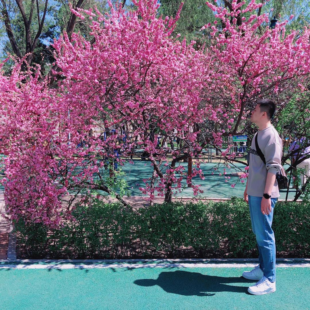 小白龙plus