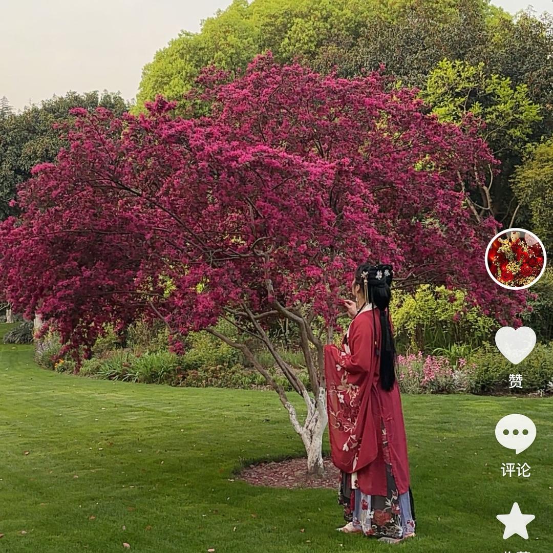 我要活成，我自己想要的样子。😎🌹