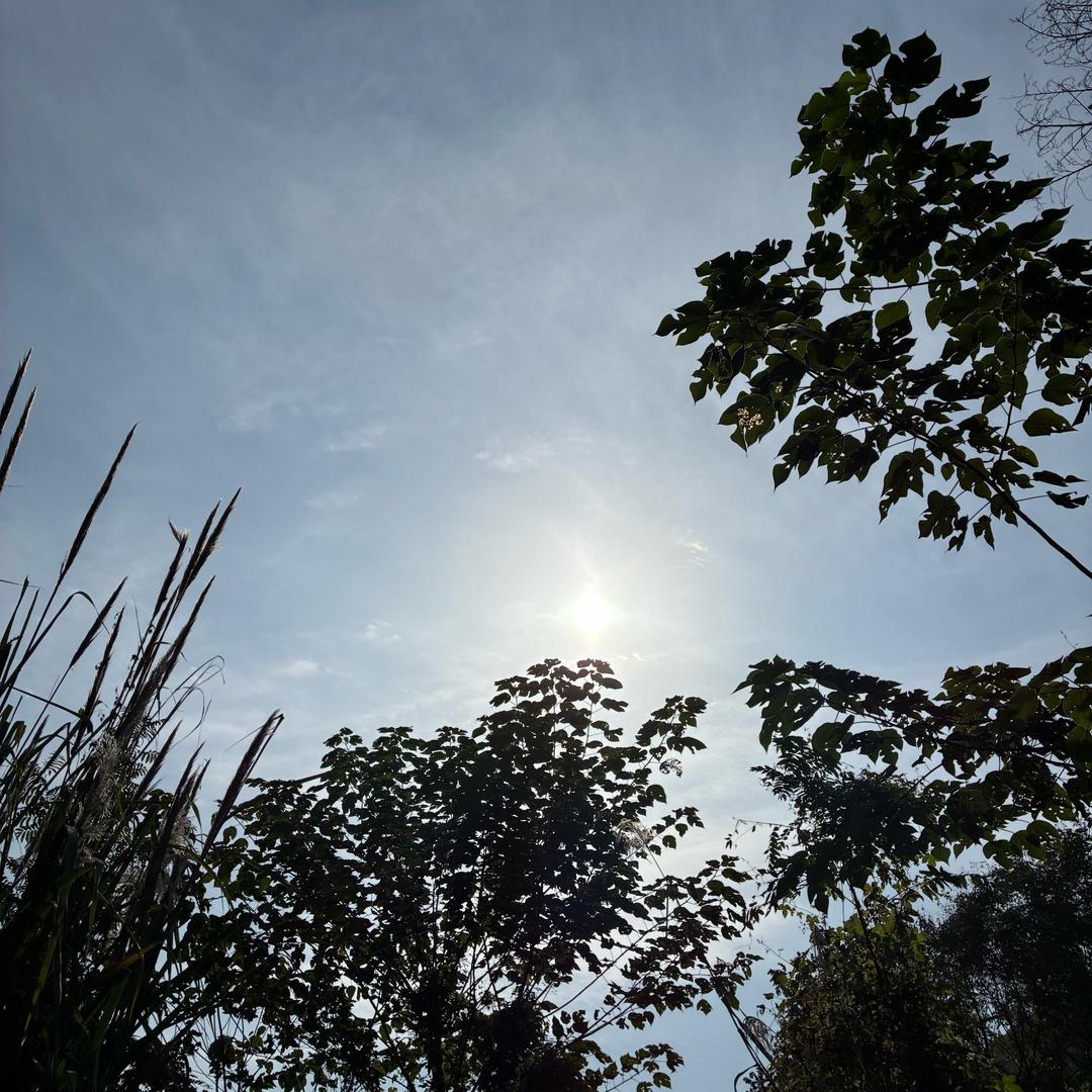 牛马老九（钓鱼佬）