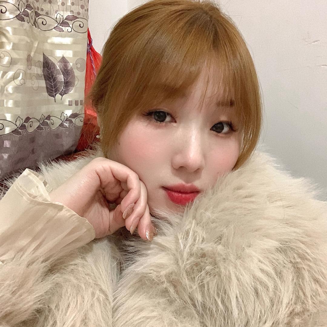 奶油泡胡🐱