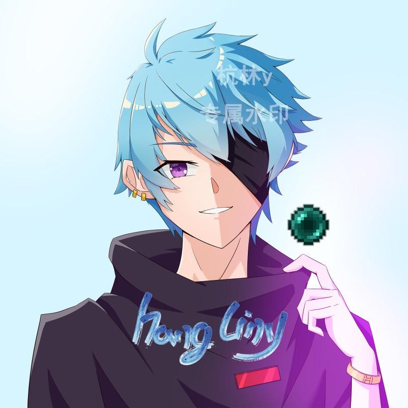 杭林y