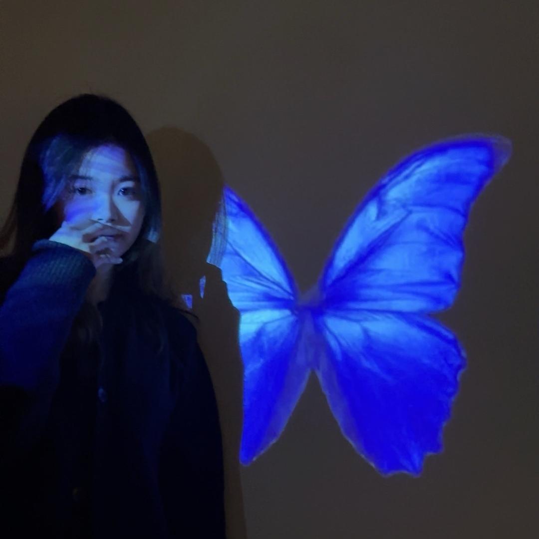 玫瑰包子